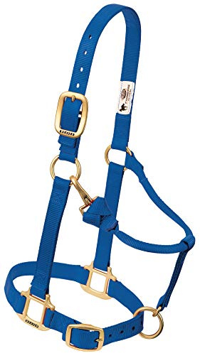 Weaver Leather Verstellbares Nylon-Kaltblut-Halfter, Blau, Größe L, Kaltblut, Breit