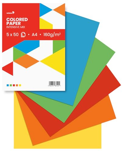 Netuno 250 ark färgat papper intensiva färger (5 x 50) DIN A4 21 x 29,7 cm 160 g pappersblandning blandade färger blandade färgglada blad set tonritpapper pysselpapper färgglada för kreativa projekt
