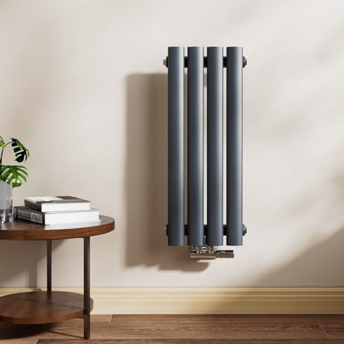 EMKE Ovaler Design Heizkörper 600x240mm, Klein Röhrenheizkörper mit Mittelanschluss Einlagig Heizung Anthrazit 166W