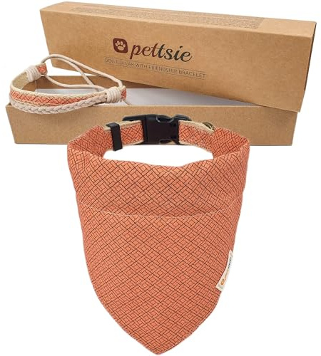 Pettsie Hundehalsband mit Bandana & Freundschaftsarmband, S, Orange | Freundschaftsarmband inklusive, Verstellbare Größen S, M, L, Abnehmbares Bandana Tuch, Attraktive Verpackung