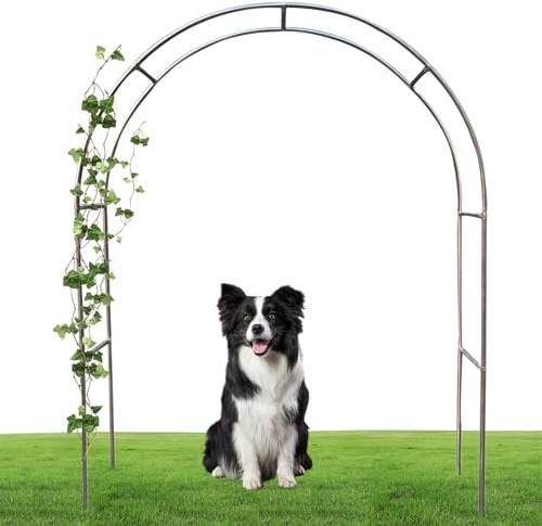 [ Rosenbogen Aus Edelstahl ] - [ Gartenbogen Für Verschiedene Kletterpflanzen ] - [ Gartenlaube Für Hinterhof, Rasen ] - [ Haltbarkeit Und Tragfähigkeit ](Color:19mm,Size:1.5*2.4m(4.9*7.9ft))