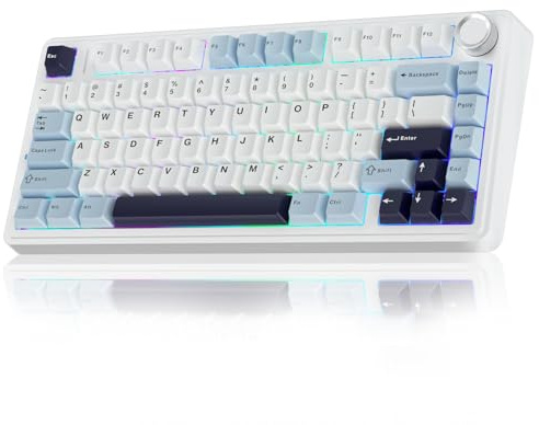 AULA F75 75% Mechanical Gaming Keyboard,2.4Ghz/Type-C/BT5.0 Wireless Mechanical Keyboards,Advanced Structure,RGB Backlight,Creamy Sound,Hot Swappable Custom Keyboard(Glacial Blue)