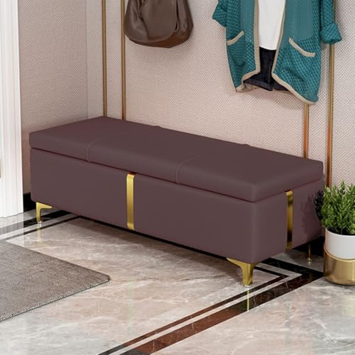 Banco de almacenamiento de piel sintética para dormitorio, baúl de almacenamiento de zapatos a los pies de la cama, elegante color café, 60 cm de largo, ahorro de espacio, muebles de entrada