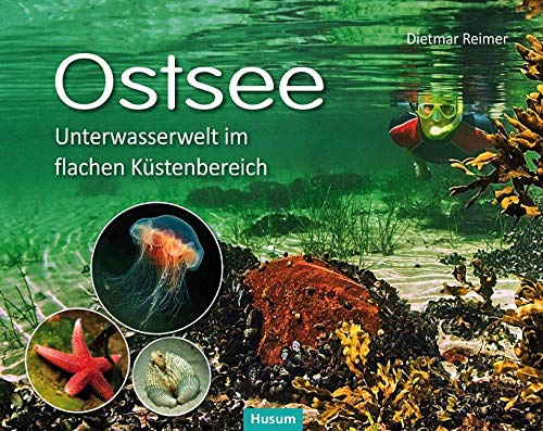 Ostsee: Unterwasserwelt im flachen Küstenbereich Kattegatt - Kleiner Belt - Westliche Ostsee