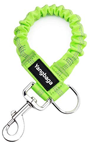Yangbaga Ruckdämpfer,hundefreundliche Leine, elastische Hunde Leine mit Zugdämpfung, Nylon-Kurzleine Perfekte Dämpfung beim Fahrrad für Hunde ab Kleiner Größe Grün (2 * 26cm)