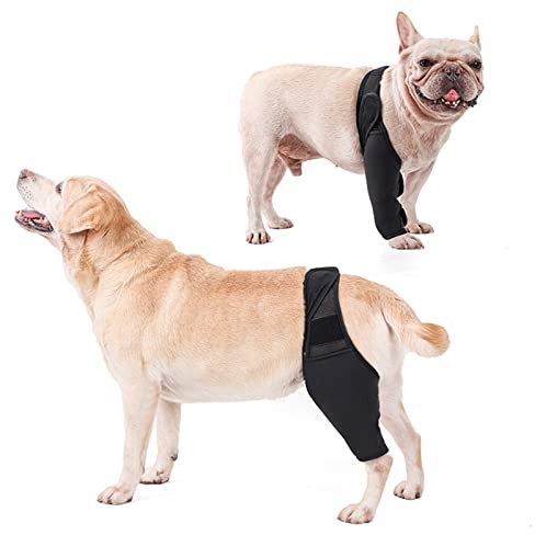 Foern Soporte para Piernas para Perros, Rodilleras Ajustables para Perros para Lesiones en el Codo Protector, Cubierta Protectora para Las Piernas Delanteras y Traseras,Black,M