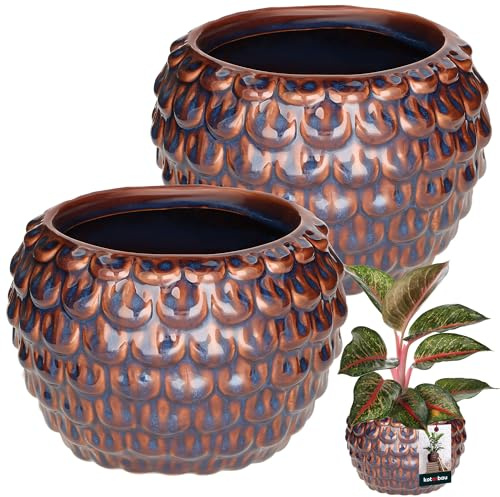 KOTARBAU® Lot de 2 pots de fleurs artistiques en céramique, grand modèle vintage écailles de poisson, faits à la main, diamètre : 17 cm, hauteur : 13 cm, pot à orchidées, bleu et marron