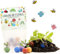 Paquete de 10 x 5 canicas de flores de colores | Regalo de cumpleaños para niños | Regalo fiesta de guardería o escuela infantil | Bolitas de semillas para regalar fin de curso