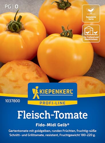 Kiepenkerl Fleisch-Tomatensamen Fido-Midi Gelb 1037800, Gemüsesaat | Resistente Sorte, Fruchtgewicht 180-220 g, für Freiland, Gewächshaus & Topf