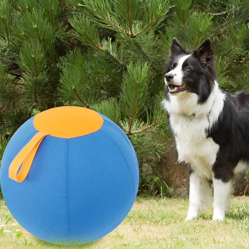KTCINA Herding Ball Hund Φ45/65 cm Ultra Sicher Robust Langlebig Interaktiv Hundespielzeug mit Pumpe Aufblaswerkzeug Training Spielzeug Hund Großer Hund Herding Ball für Hunde Pferde (S)