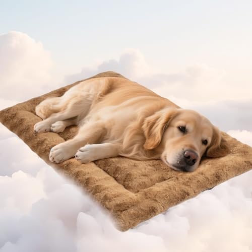 Mora Pets Hundedecke Flauschig Hundematte Waschbar und rutschfest Hundekissen für Kleine Mittelgroße Grosse Hundebett Weiches und Kuschelig Hunde Decke, 104x 69 cm
