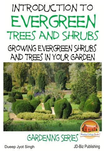 Introduction to Evergreen Trees and Shrubs - Growing Evergreen Shrubs and Trees in Your Garden