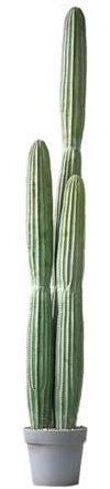 Interior Pegamento de sensación nórdica, árbol Artificial, plantas tropicales, Cactus Artificial grande, árboles de plantas suculentas falsas for decoración del hogar Árbol Artificial ( Size : 146cm )