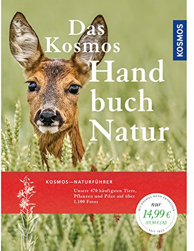 Handbuch Natur: Tiere, Pflanzen und Pilze kennen lernen