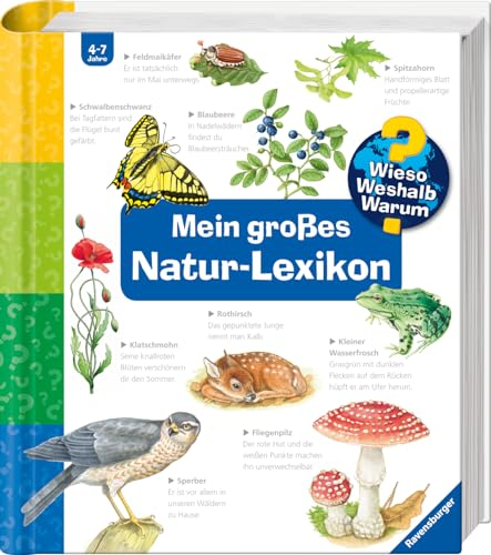 Wieso? Weshalb? Warum? Sonderband: Mein großes Natur-Lexikon (Sachbuch ab 4 Jahre - mit Klappen)