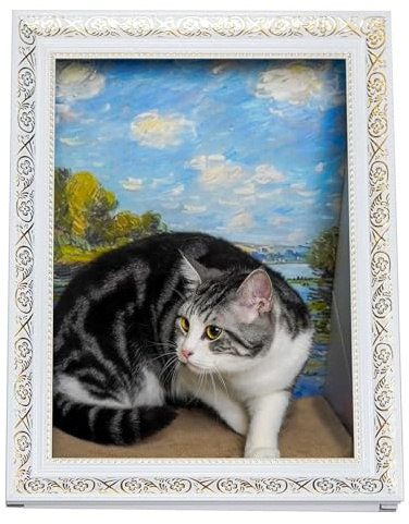 Heikoeco® Ölgemälde Fotorahmen Katzenhaus, Vertikales 3D Katzen Kratzbrett, Umweltfreundliches Material Kätzchen-Kunstrahmen, Katzenspielzeug