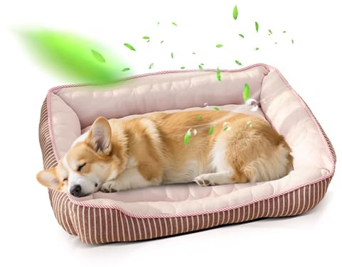PETCUTE Ortopedisk Hundsäng för Små och Medelstora Hundar, Kylande Hundbädd, Kattsäng, Maskintvättbar Hundkorg, Lämplig för Sommar