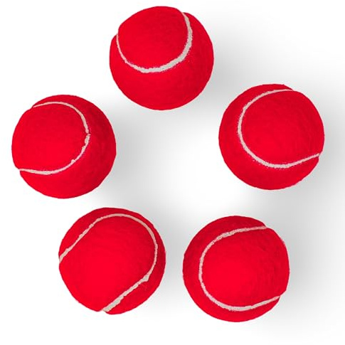Price's 5 coloured Tennis balls(5)