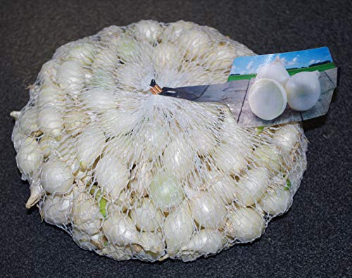 CIPOLLA DA SEMINA IN BULBI CONFEZIONE DA 500 GRAMMI (SNOWBALL (bianca))