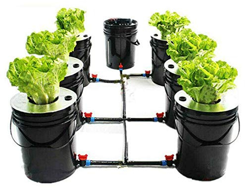 Futchoy Kit de culture hydroponique 20 x 7 cm Système de culture hydroponique DWC pour la maison et l'intérieur Système de culture hydroponique Outil de jardinage