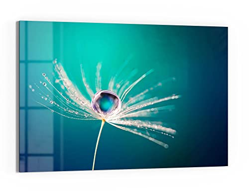 DEQORI Glas-Magnettafel | 60x40 cm groß | Motiv Samen mit Wassertropfen | Memo-Board aus Glas | Magnetboard inkl. Magnete, Stift & Tuch für Küche & Büro | Tafel magnetisch & beschreibbar