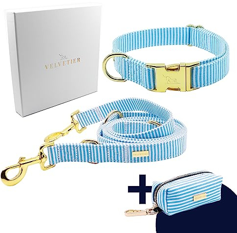 VELVETIER Hundehalsband Set Sailor (Blau-Weiß) mit Leine, S/M 29-40 cm | Kotbeutelspender inklusive, goldene Beschläge, für kleine und mittlere Hunde, Jack Russell, Mops