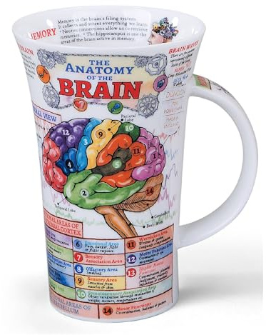 Dunoon, Trinkbecher, Glencoe, Biologie, Knochenporzellan, The Brain