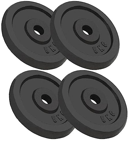 vidaXL Viktskivor 4 st 4x5 kg gjutjärn
