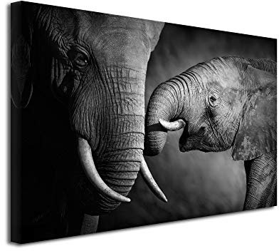 DECLINA Bild der Elefant und seine Mutter – Fotodruck Tiere auf Leinwand, Wanddekoration, für Haus, Küche, Wohnzimmer, Schlafzimmer, Erwachsene, Schwarz und Weiß, 150 x 100 cm