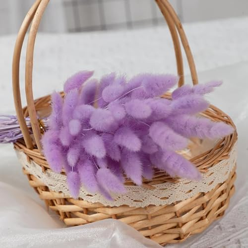 FOSANGPUSHI Bunny Tails Getrocknete Blumen,100 Stück 45 cm getrocknetes Kaninchenschwanzgras Boho-Heimdekoration, natürliches Pampasgras für Blumenarrangements, Hochzeit, Heimdekoration, Lila