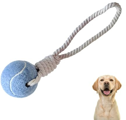Generisch Hundespielzeug mit Seil und Ball - Hundeball, Robust & Bunt, für Wurf und Zerrspiele (Blau)