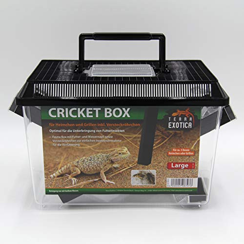 Cricket Box Large 30 x 19,5 x 20,5 cm für Heimchen und Grillen zur Zucht | Cricket Box Large (30 × 19,5 × 20 cm) zur Haltung, Zucht und zum Transport von Heimchen, Grillen und Futterinsekten.