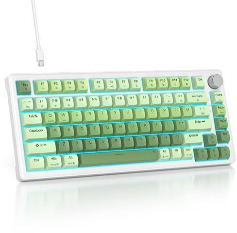 SOLIDEE Clavier Mécanique 75% Filaire, Hot Swappable, Compact RGB rétroéclairage, 82 Touches NKRO avec Bouton (Matcha Gradient)