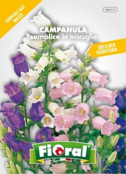 Sementi da fiore di qualità in bustina per uso amatoriale (CAMPANULA SEMPLICE IN MISCUGLIO)