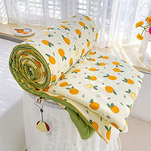 FANSU Tagesdecke Bettüberwurf Steppdecke Mikrofaser Doppelbett Einselbetten Gesteppt Bettwäsche Sofaüberwurf Wohndecke Bettdecke Stepp Gesteppter Quilt (200x230cm,Beige-Orange)