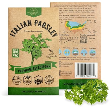 Organo Republic Italian Parsley Seeds Pack 5G - Over 2,000 Non-GMO Heirloom Parsley Seeds for Planting Herbs in Individual Seed Packet, Herbs Seeds for Planting Home Garden Indoor & Outdoor Gardening