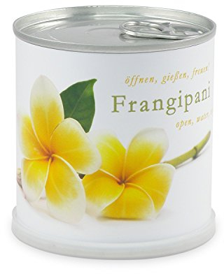 MacFlowers® Frangipani | Anzuchtset als besonderes Geschenk | Öffnen Gießen Freuen | Dankeschön Yoga Tempelbaum Yogabaum yellow