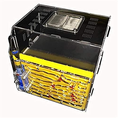 XBSXP Ameisennest City Ant Farm Bambus Glas Insektenvilla Haustier Ameisen Lebensraum Insekten Ameisenfarm Enthält Keine Ameisen (Farbe: Rot, Größe: 216x196x210mm