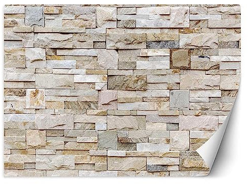 Feeby Carta da parati in vinile Premium Muro Pietra Arenaria 100x70 cm XXL Decorazione Fotomurali Soggiorno Camera da letto Moderne Design Ufficio Corridoio Hotel Spa Design Astratto Struttura beige