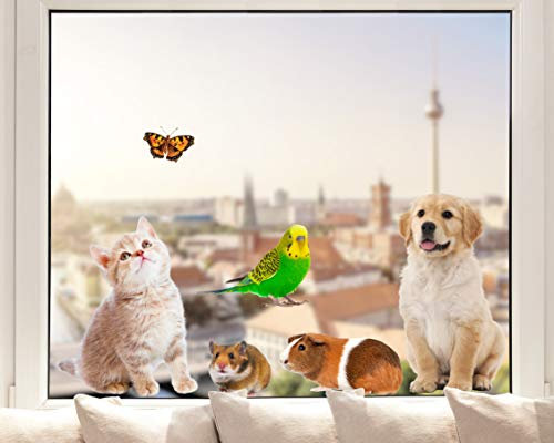 Pixblick Fenstersticker - Niedliche Haustiere I Made in Germany I Wiederverwendbar