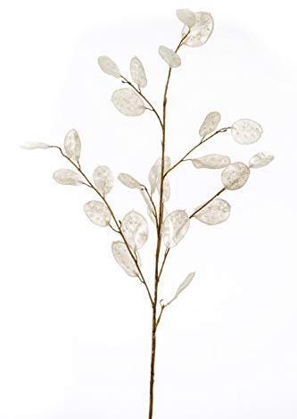 artplants.de Rama de lunaria Decorativa BUELNA, Crema, 105cm - Lunaria Artificial - Planta Falsa