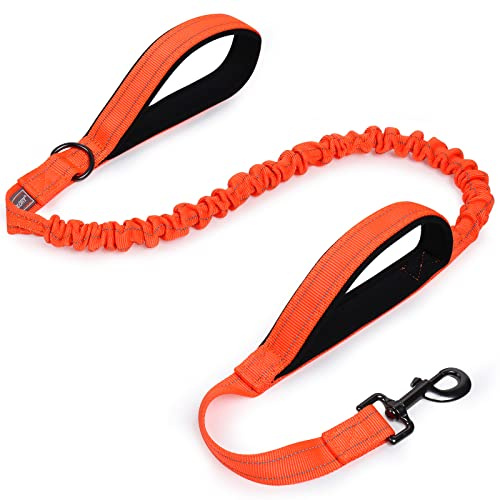 VIVAGLORY Hundeleine Pullsafe Bungee Leine Hund, Führleine Hundeleine mit Doppelgriff & Zwei Griffen für Hausleine Joggingleine, Bungee & Stark Ziehende für Hunde, 120 x 2.5cm, Orange
