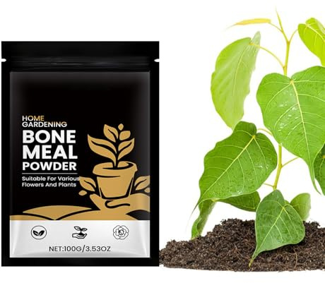 JIEBWCHA Polvere Radicante per Piante - Fertilizzante Radicante in Polvere per Piante | Attivatore Nutriente Organico per Terreno con Nutrizione per Piante da Interno, Alberi, Giardino e Serre