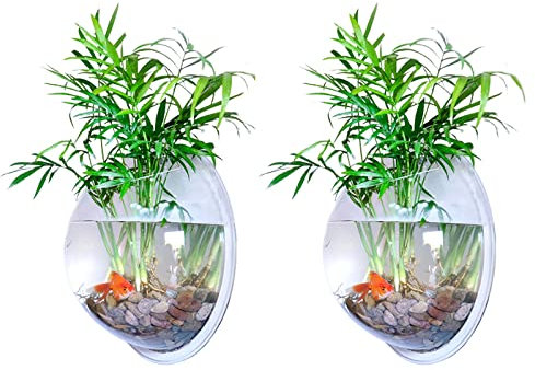 Flueyer Serbatoio da parete per pesci, in acrilico trasparente, rotondo, da appendere alla parete, per piante idroponiche, decorazione per piante da giardino