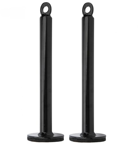 Bayli 2 x Gewichtsplatte Ladestift 320 mm - Hantelscheiben Halterung aus Stahl | Langhantelplatte - Weight Plate Loading Pin | Workout Gewichte Hubhalter | Scheibenaufnahme | Fitness Gewichtsständer