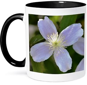 3dRose Pretty Pink Clematis Flower - Floral Print - Spring 11oz Two-Tone Black Mug