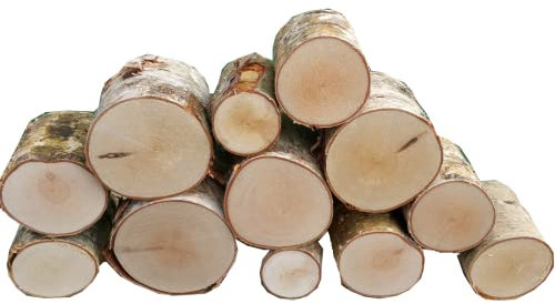 Round Logs for Decoration - Birch - 20cm Long - Covers 30cm x 40cm (0.12 metre squared) Kiln Dried Bug Free Lovely Smell