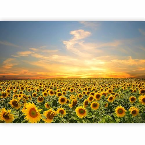 murando Fotomurales Autoadhesivos Paisaje 245x175 cm Papel Pintado Decoración de Pared Murales Pegatina decorativos adhesivos 3d Fotográfico Pradera Naturaleza b-B-0621-a-a