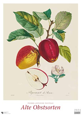 DUMONT Pierre Antoine Poiteau: Alte Obstsorten Posterkalender 2024, im Format 50 x 70 cm, Monatskalender, Kunstkalender für Geschichtsliebhaber