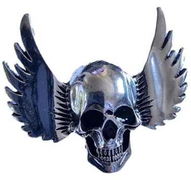 Broche Tête De Mort Ailée Couleur Argentée - Accessoire Mode Rock Et Gothique - Tête de mort - Belle qualité de finition - Epingle - élégant - Cadeau d'anniversaire de Femmes Filles - Fournitures de